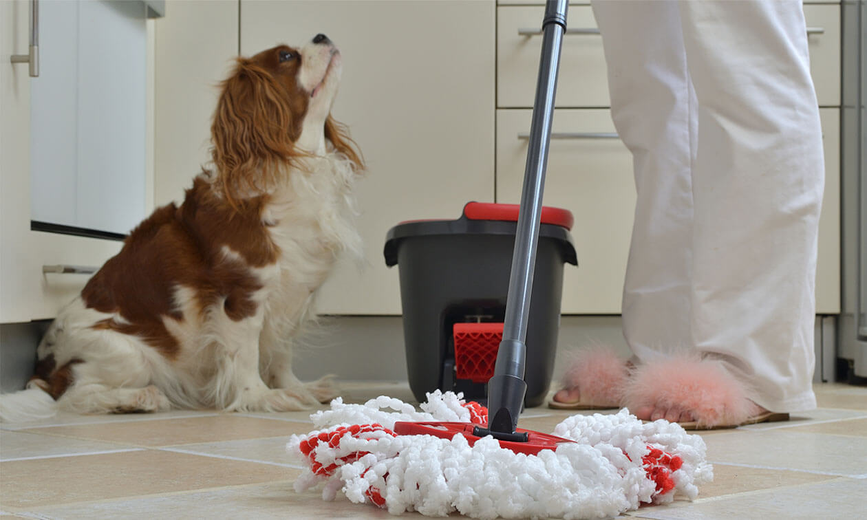 Eco-Friendly Cleaning: Safe Solutions for Your Family and Pets 3